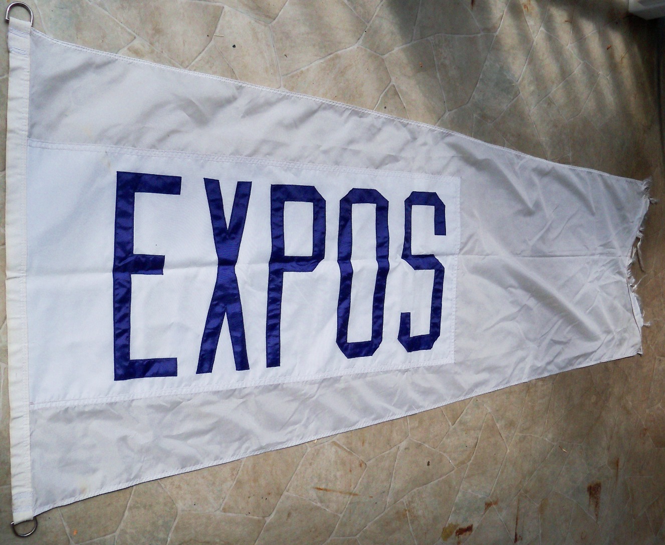 08690-ExposFlag--8-2022.JPG