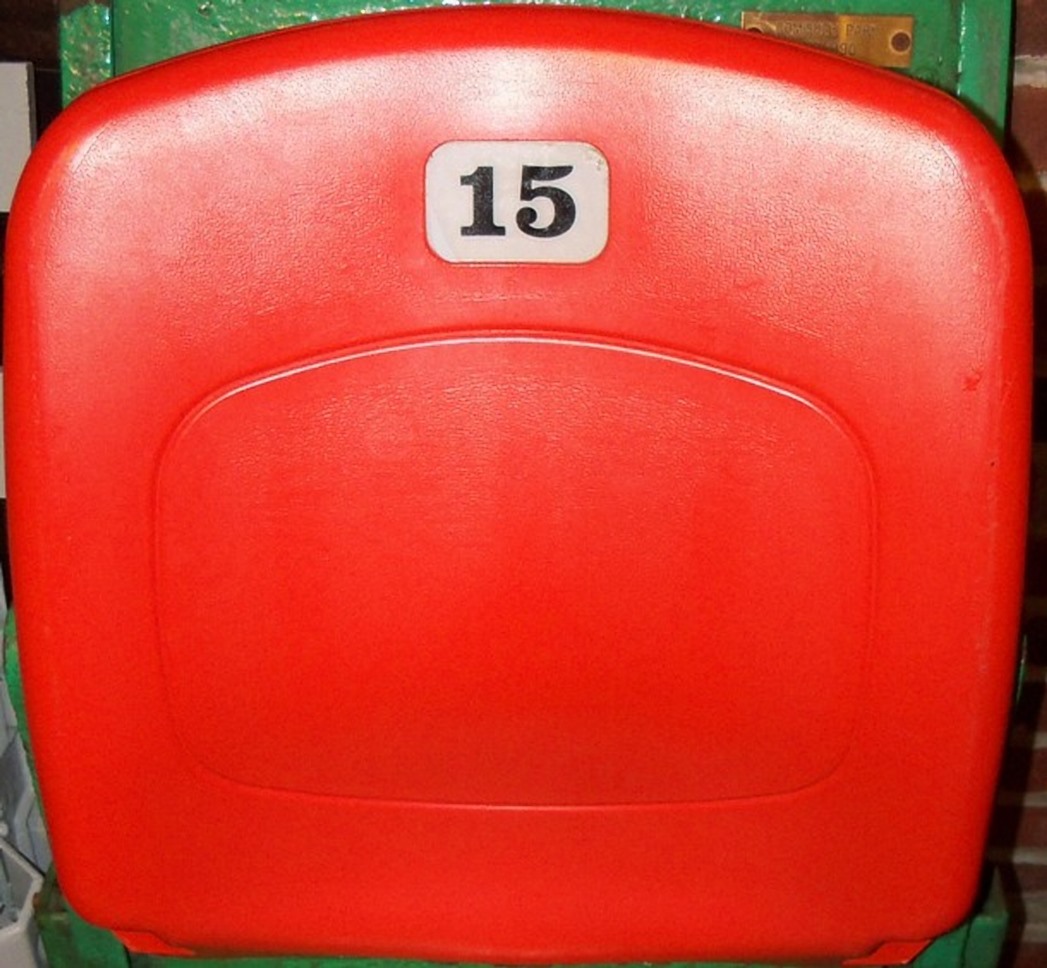 ArrowheadSeatBacks30per--9-2013.v1.jpg