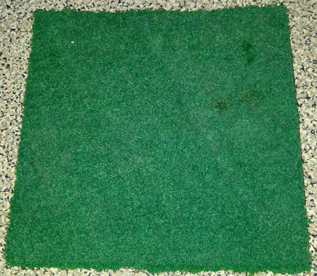 Dome80Turf--1-2018.jpg