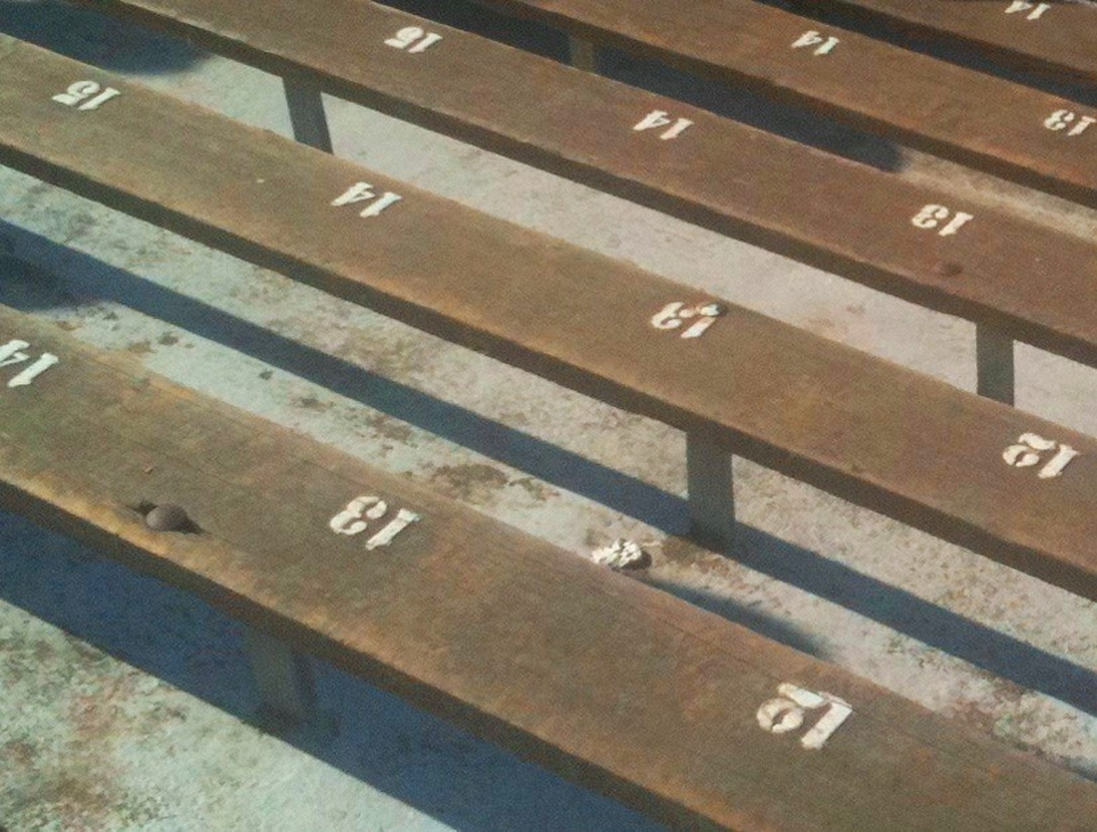 ND-Wood-Seats-.v1.jpg